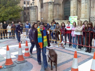 Jóvenes jienenses prueban un circuito con perro guía