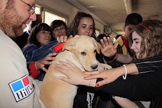 Alumnos acariciando uno de los cachorros en la sede de la Fundación ONCE del perro guía