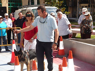 Un momento de la exhibición de los perros guía