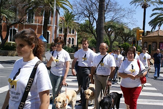 Los usuarios de perro guía cruzan por un paso de cebra en el centro de Huelva