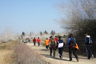 Imagen del grupo de chavales que realizaron una ruta al aire libre