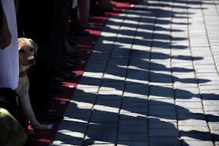 Fotografía en la que aparecen las sombras de algunas de las personas que juraban bandera y un perro guía