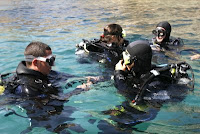 Imagen de algunos de los participantes ya en el agua a punto de sumergirse