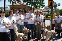 Un grupo de usuarios de perro guía en las calles de Huelva ante un semáforo en rojo