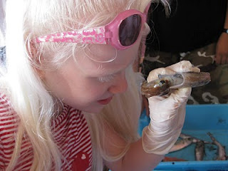 Niña descubriendo mediante el tacto una cigala