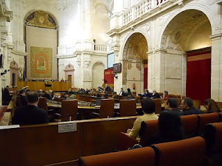 Aspecto general del salón de plenos con los responsables de la ONCE en la tribuna de invitados