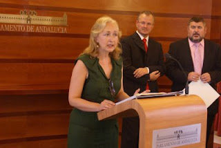 Un momento de la intervención de la presidenta de la Cámara