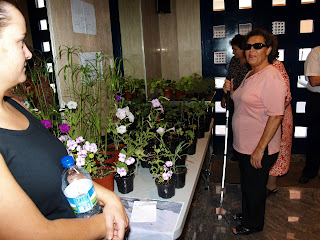 Imagen de la exposición de plantas