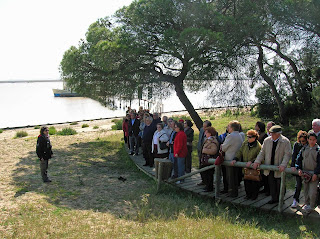 Bella estampa de los participantes en pleno corazón de Doñana