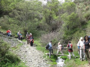 En la imagen, el grupo de trabajadores y afiliados realizando senderismo en Bérchules