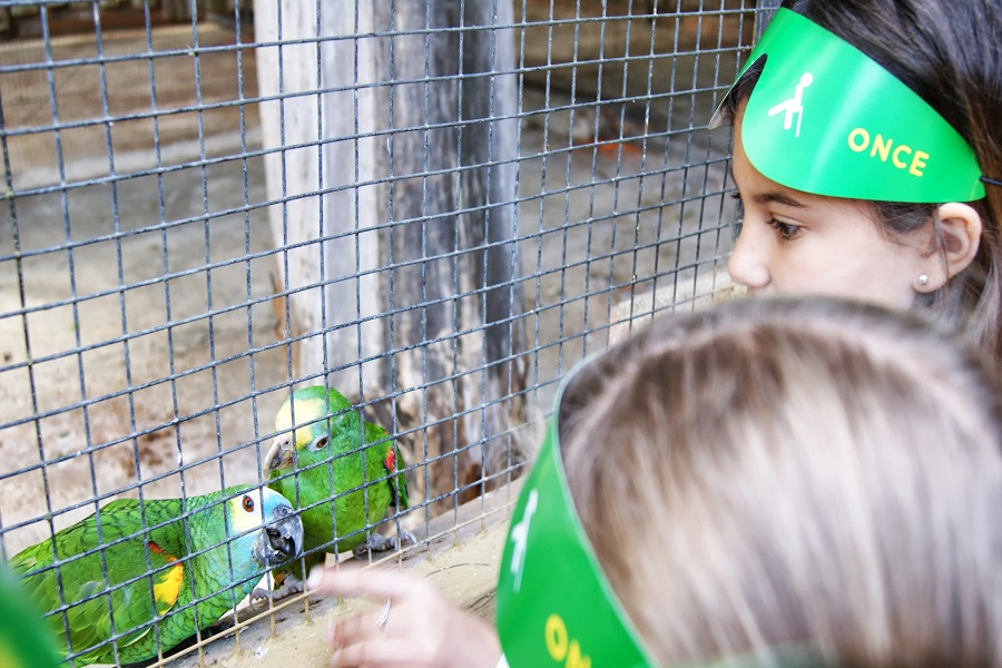 Dos niñas observan a los animales del Zoo de Jerez