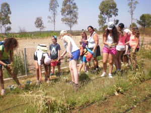 En la imagen, los niños participan en un taller de huerto recogiendo hortalizas