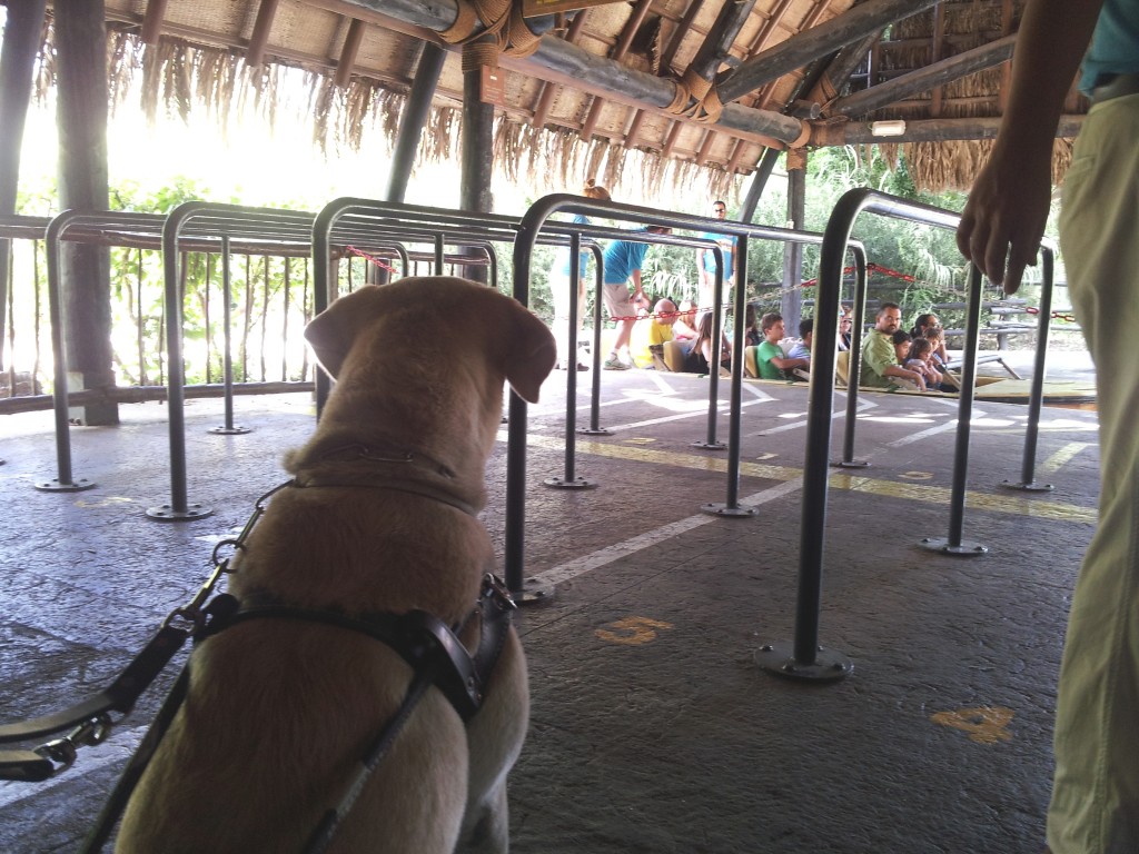 En la imagen, aparece un perro guía de espaldas fijando su mirada en una de las atracciones de Isla Mágica, el Iguazú, en la que está montada su ama