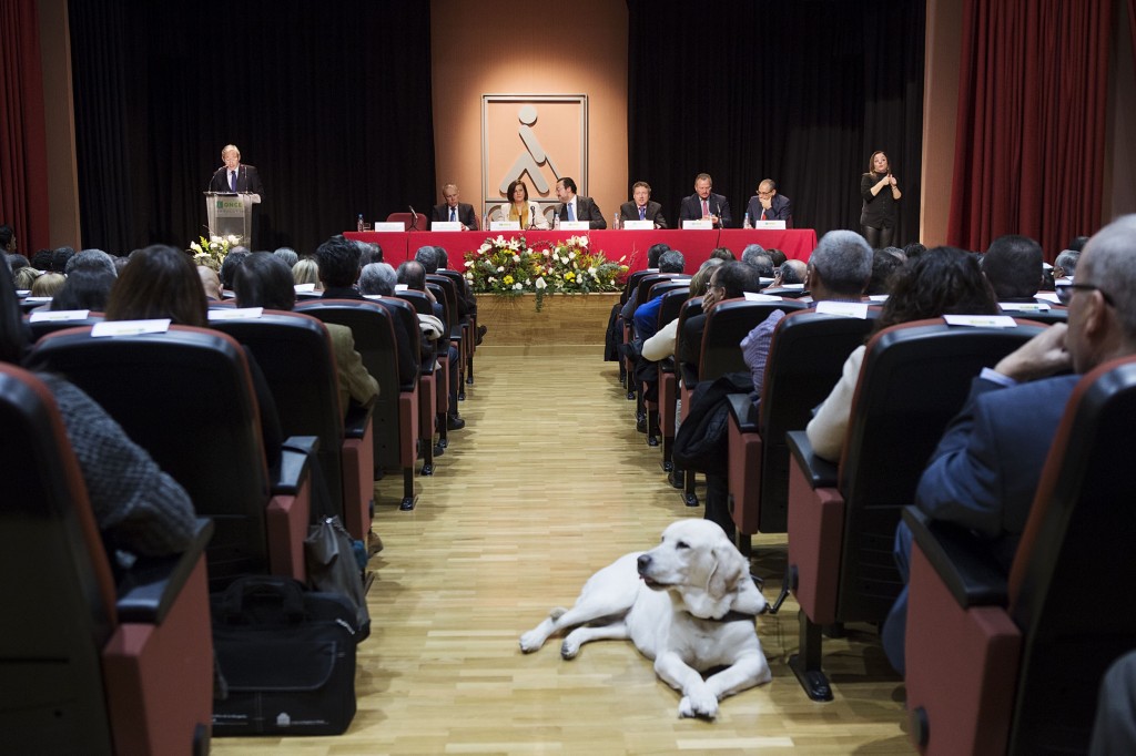 Vista general del salón de actos con un perro guía en primer plano del pasillo durante la intervención de José Antonio Toledo