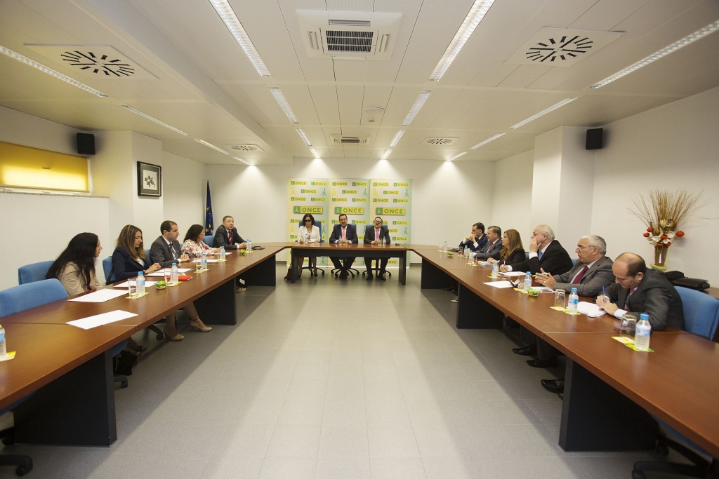 Un momento de la reunión del pleno del Consejo Territorial