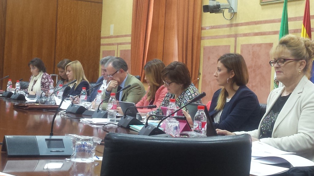 Vista general de los miembros de la Comisión de Turismo y Deporte durante la intervención del delegado territorial