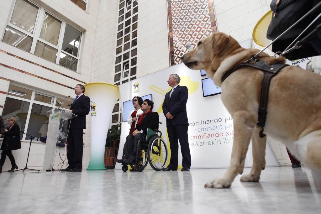 Primer plano de un perro guía con el fondo de la presidencia del acto en el momento en el que interviene el delegado territorial