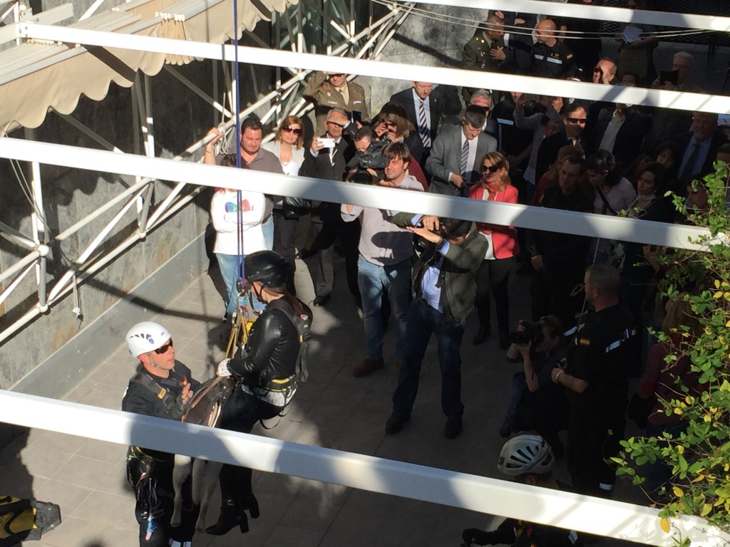 Plano cenital que muestra una vista amplia de la simulación de terremoto