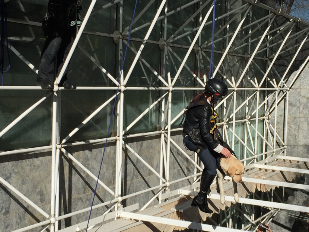 Bajada desde lo más alto del edificio durante el simulacro de terremoto