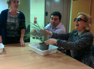 Los asistentes participan en las actividades con plantas