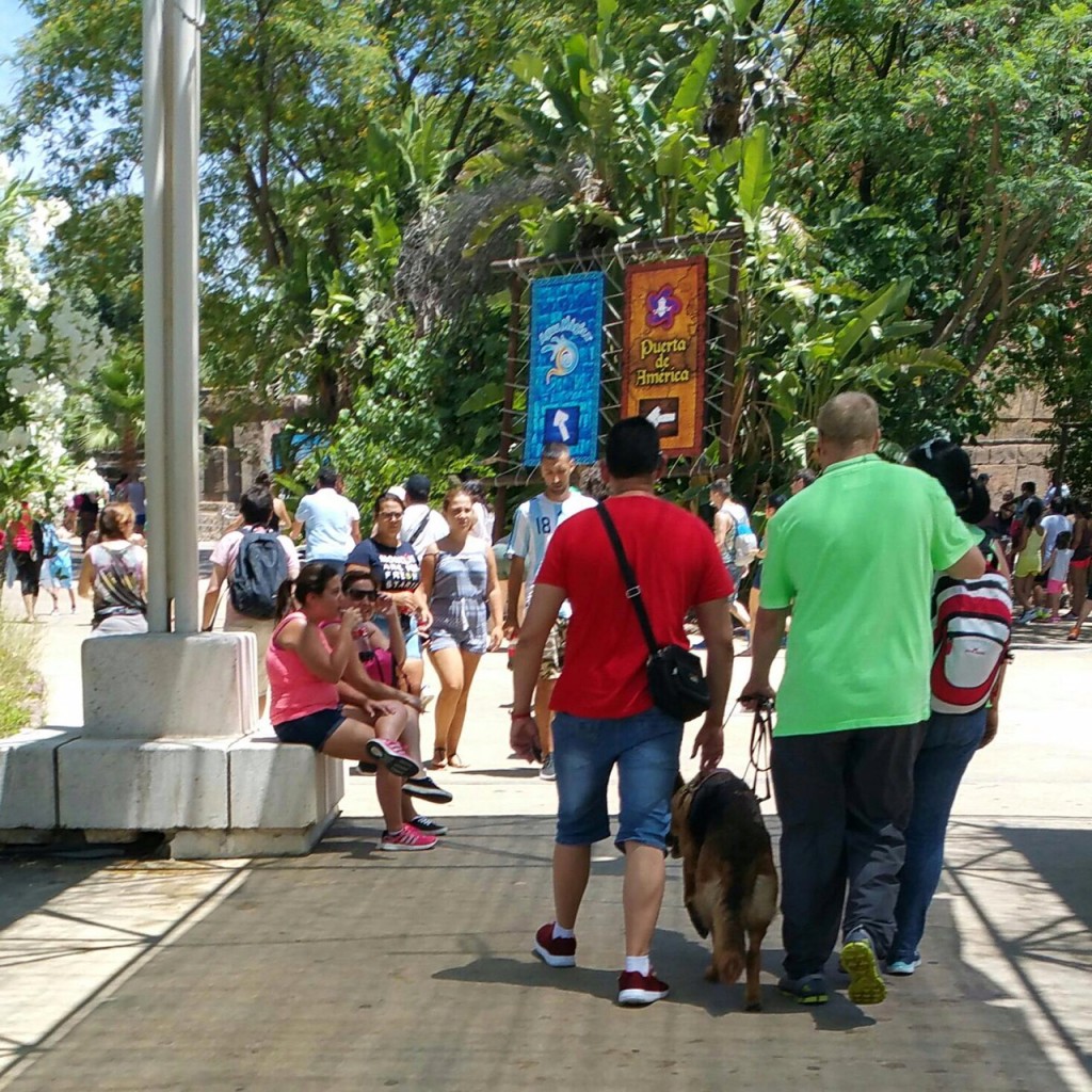 Dos afiliados de espaldas caminan con sus perros guía en Isla Mágica