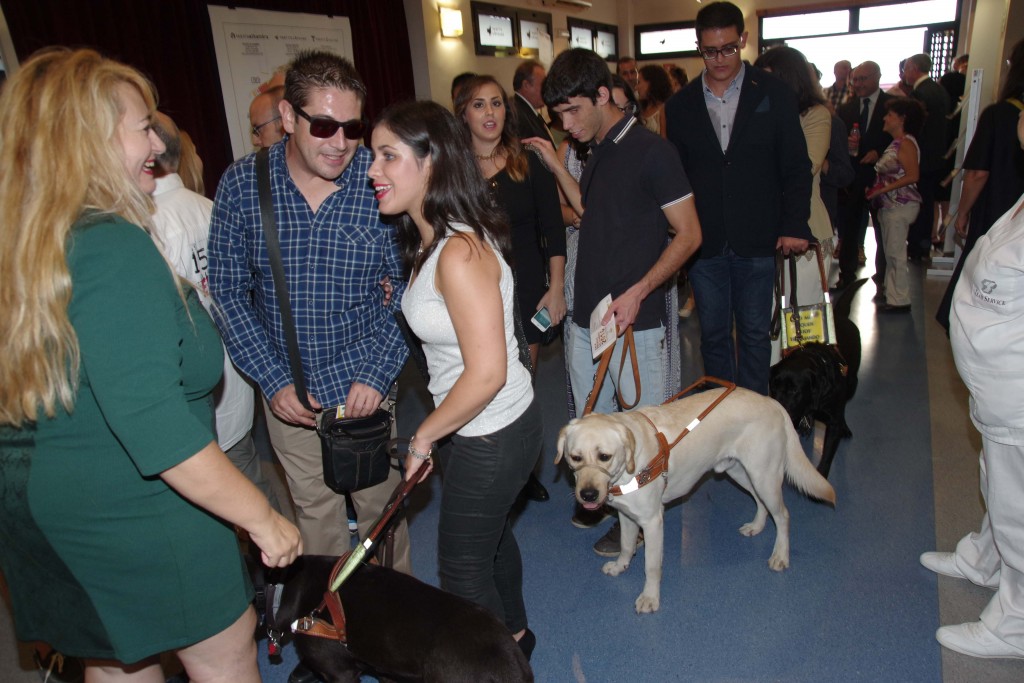 Usuarios de perros guía accediendo al interior del teatro Cánovas