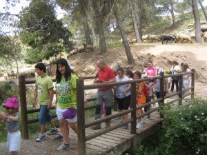 Los niños durante su recorrido por el Parque Natural de la Sierra de Huetor